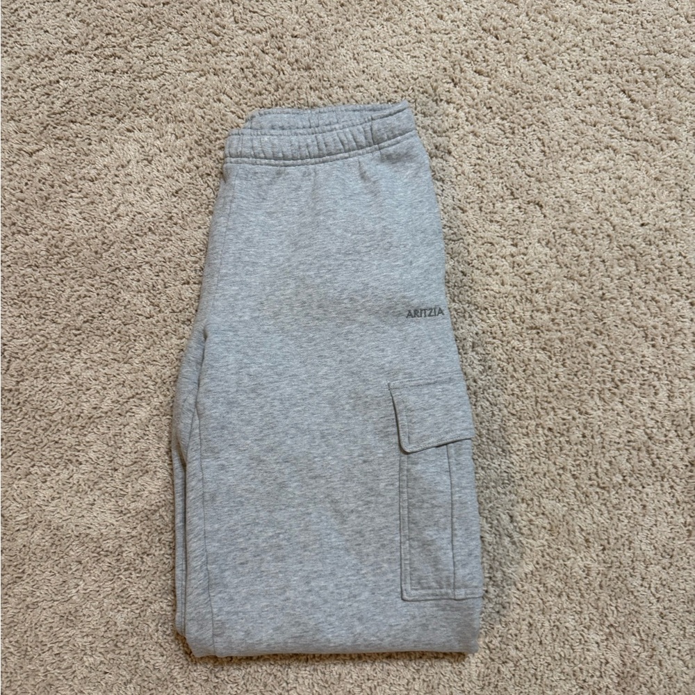 Aritzia Mega Cargo Sweatpants in Heather Chrome